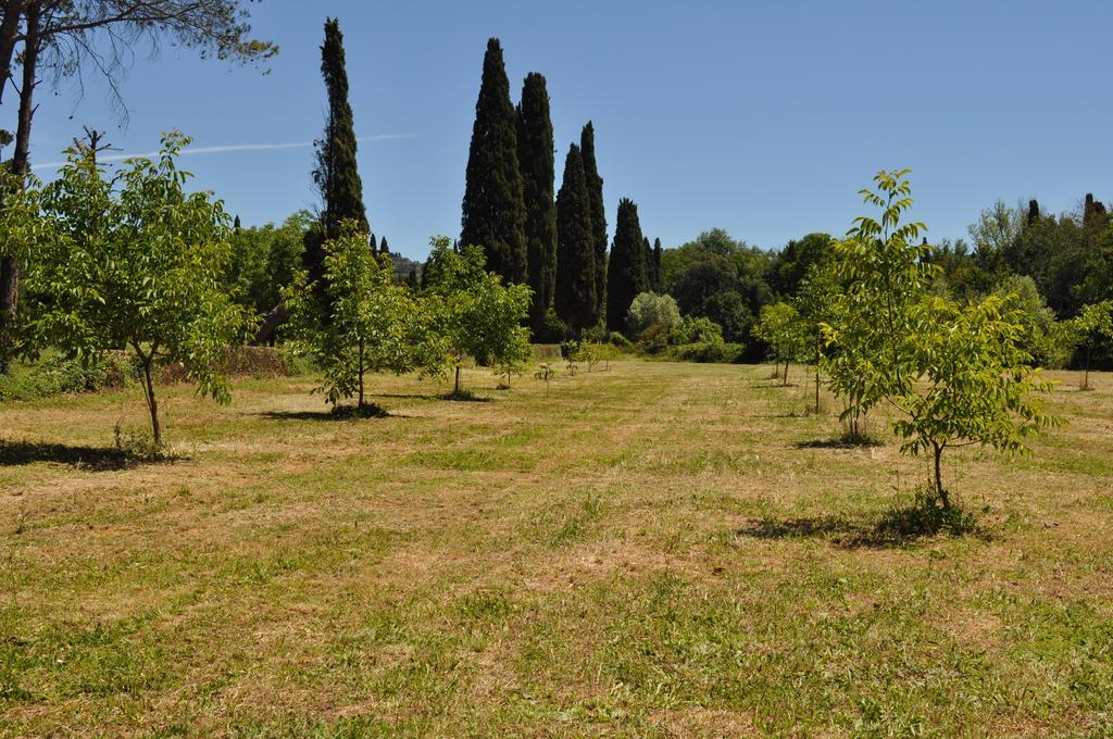 Buonincontro Apartment Floransa Oda fotoğraf